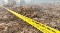 IMG-20260901-WA0060 Ilustrasi Kebakaran lahan di Kalimantan Barat